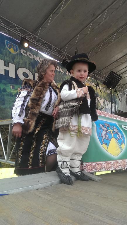 Pensiunea Sami Gura Humorului Luaran gambar